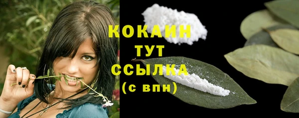 молекула духа Аркадак