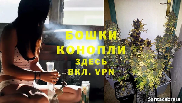 молекула духа Аркадак