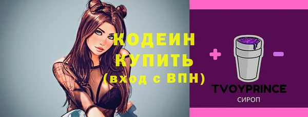 apvp Арсеньев