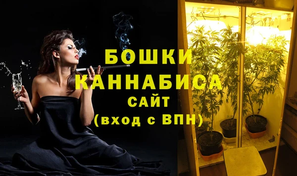 молекула духа Аркадак