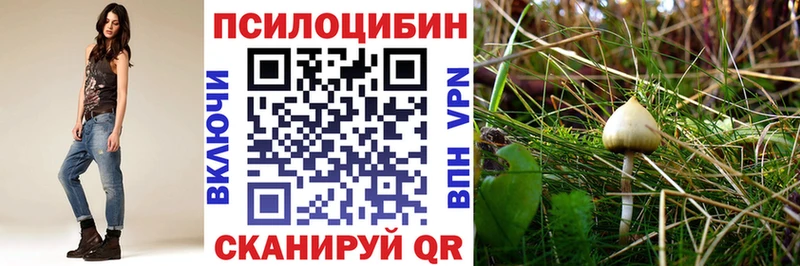 это как зайти  Сергач  Галлюциногенные грибы MAGIC MUSHROOMS  mega ССЫЛКА 